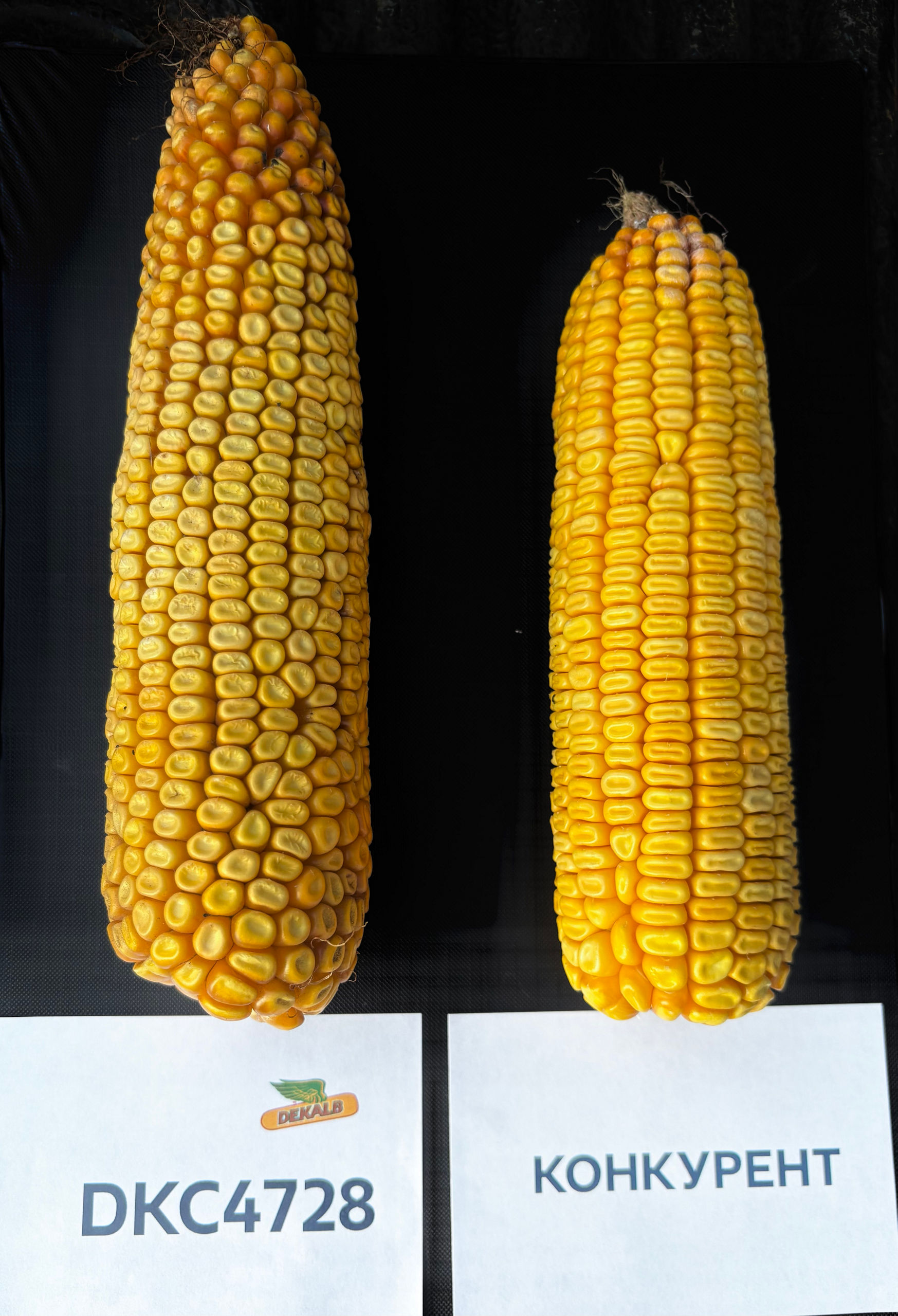 DKC4728